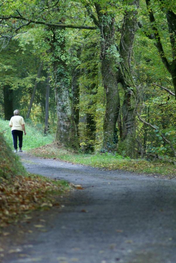 Domisiladore Latouille-Lentillac Exteriér fotografie